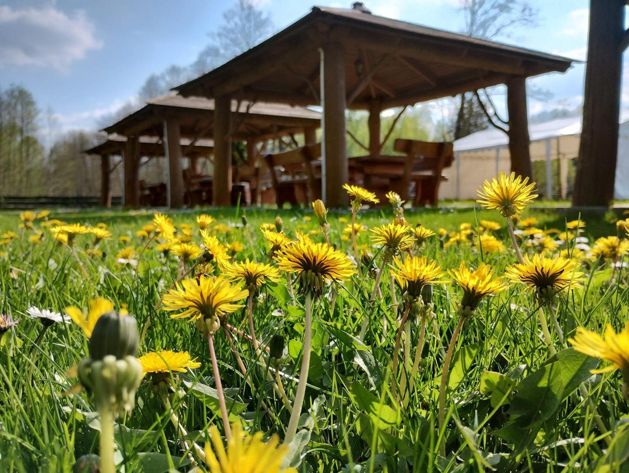 Mazowieckie Siolo Julianowka Buitenkant foto