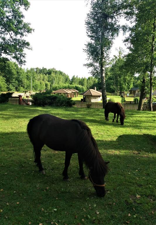 Mazowieckie Siolo Julianowka Buitenkant foto